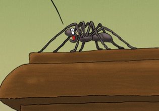 Αρκάς: Η καλημέρα της Παρασκευής είναι τυλιγμένη στα δίχτυα μιας αράχνης