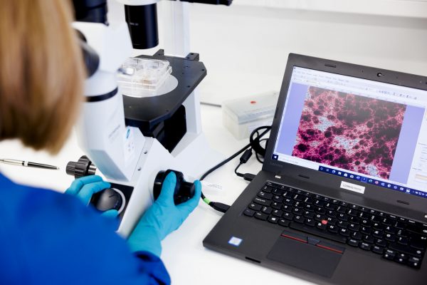 Novo Nordisk Hellas: Μία ηγετική παρουσία στον τομέα της υγείας με επίκεντρο τον άνθρωπο και την καινοτομία