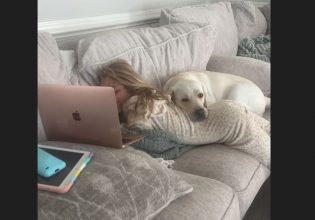 Viral: Γνωρίστε την Spy, τον σκύλο ιατρικού συναγερμού που μυρίζει τις αυξομειώσεις σακχάρου!