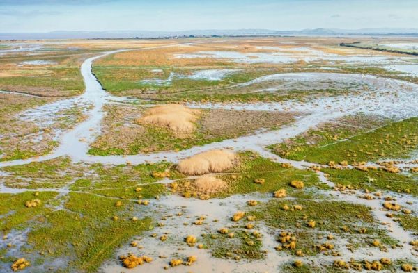 Το πείραμα του Στερτ: Οι αλυκές ως απάντηση στην κλιματική αλλαγή και τις φονικές πλημμύρες