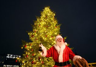 Χριστουγεννιάτικο δέντρο: Από την εορταστική μαγεία, στην νέα  περιβαλλοντική «αμαρτία»;