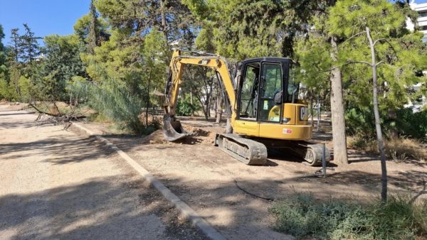 Ανησυχία για την κατάσταση δέντρων στο Άλσος της Νέας Σμύρνης.