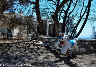 Στην τελική ευθεία η δευτεροβάθμια δίκη για το Μάτι – Ξεκίνησαν οι απολογίες