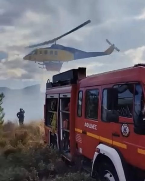 Ο μόλις 2 ετών νεότερος εθελοντής πιθανότατα της χώρας βραβεύτηκε από Δήμαρχο