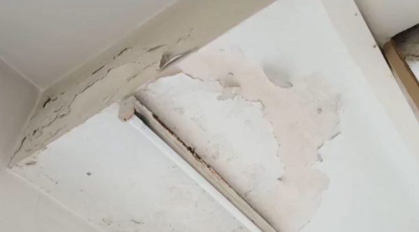 Βρωμιά, μούχλα και σκουπίδια: Εικόνες ντροπής σε μεγάλα νοσοκομεία της Αθήνας