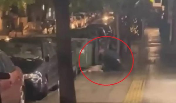 Κυψέλη: Στην ανακρίτρια ο 47χρονος που σκότωσε τον σκύλο του – Ερευνάται για ακόμα 7 θανάτους αδέσποτων