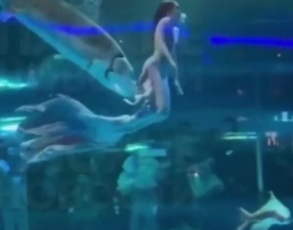 Η σοκαριστική στιγμή που τεράστιο ψάρι δαγκώνει «γοργόνα» μέσα σε ενυδρείο στην Κίνα