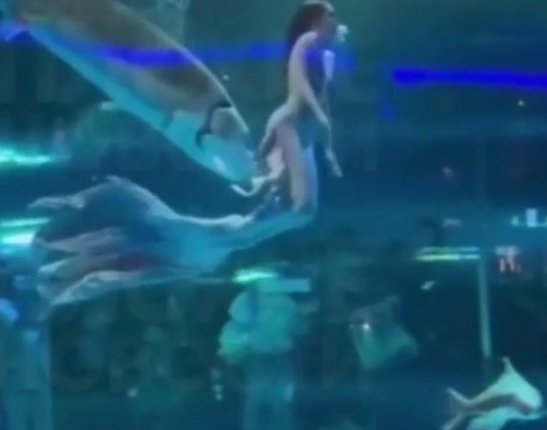 Η σοκαριστική στιγμή που τεράστιο ψάρι δαγκώνει «γοργόνα» μέσα σε ενυδρείο στην Κίνα