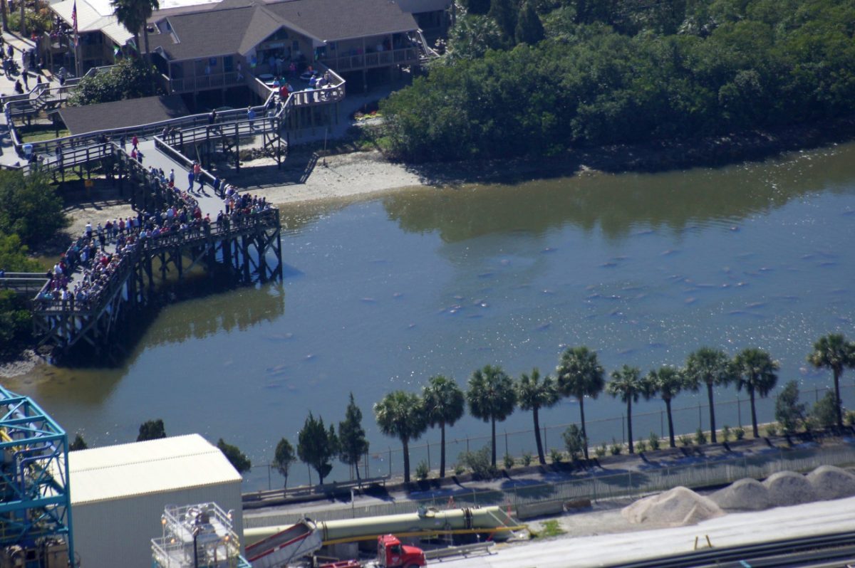 Επισκέπτες απολαμβάνουν τους μανάτους σε κολπίσκο του Απόλο Μπιτς (FWC Fish and Wildlife Research Institute)