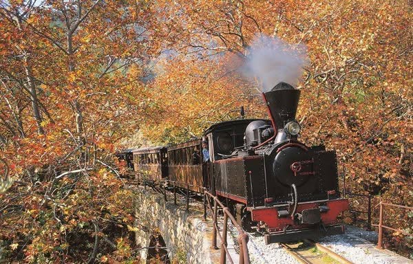 Δήμoς Νοτίου Πηλίου: Αναγκαία η διατήρηση δρομολογίων του  «Μουτζούρη»