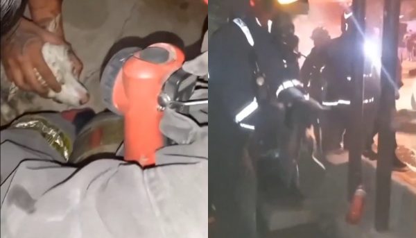 Η γρήγορη αντίδραση κατοίκων που έσωσε γάτα και σκύλο από τη φωτιά