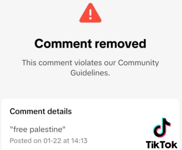 TikTok: Λογοκρίνει την κριτική σε Τραμπ, Μασκ και τις φράσεις Free Palestine – Free Luigi