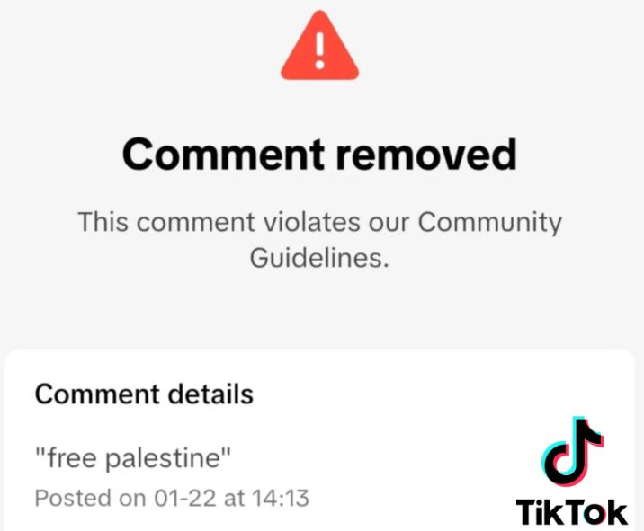 TikTok: Λογοκρίνει την κριτική σε Τραμπ, Μασκ και τις φράσεις Free Palestine – Free Luigi