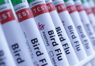 Moderna: Ομοσπονδιακή ενίσχυση για το εμβόλιο της γρίπης των πτηνών