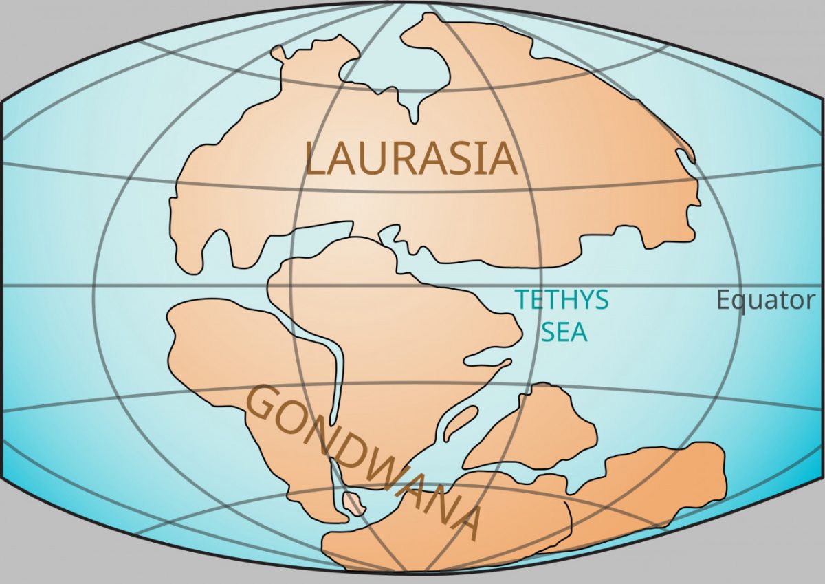 H μελέτη εκτιμά ότι οι δεινόσαυροι εξελίχθηκαν στην Γκοντβάνα, μια από τις δύο ηπείρους που προέκυψαν από τη διάσπαση της Παγγαίας (Wikimedia Commons / CC BY 3.0)