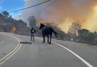Λος Άντζελες: Έφηβη απομακρύνει άλογο από τις πυρκαγιές και του σώζει τη ζωή