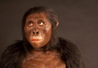 Γιατί η Λούσι η προγιαγιά μας ήταν κακή δρομέας