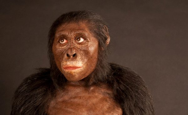 Γιατί η Λούσι η προγιαγιά μας ήταν κακή δρομέας