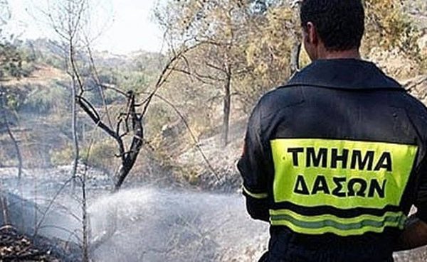 Έρευνα για τις συμβάσεις μισθώσεων και συντήρησης πτητικών μέσων αεροπυρόσβεσης στην Κύπρο