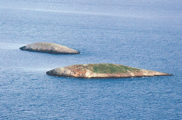 Κρίση των Ιμίων: Προνομιακό πεδίο των δημαγωγών