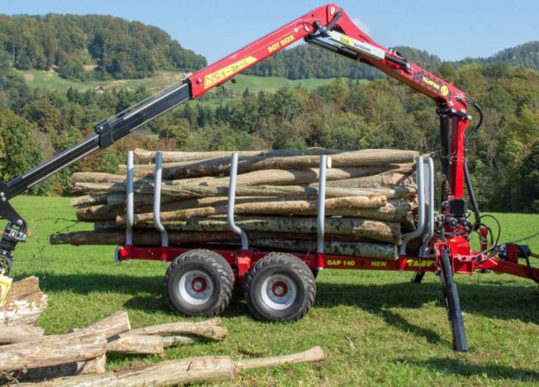 Η «Μαφία των δασών» δουλεύει ασταμάτητα