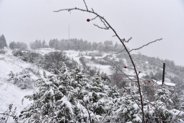 Κακοκαιρία: Άρση κυκλοφοριακών ρυθμίσεων σε επαρχιακές οδούς του δήμου Λαγκαδά