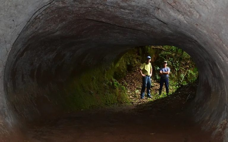 Ποιο πελώριο προϊστορικό πλάσμα έσκαψε αυτές τις σπηλιές στον βράχο;