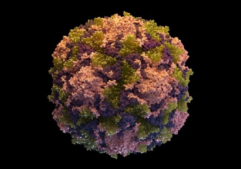 Προειδοποίηση για επιστροφή της πολιομυελίτιδας μετά την ανίχνευση του ιού στην Ευρώπη