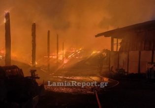 Καταστροφική φωτιά σε μεγάλη κτηνοτροφική μονάδα στον Αλμυρό Βόλου – Απομακρύνθηκαν 2.500 ζώα