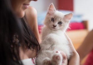 Είναι οι γάτες… ζηλιαρόγατες; Κι αν, ναι, πώς το εκδηλώνουν;