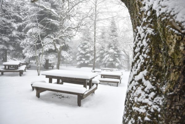 Κακοκαιρία Coral: Νέο έκτακτο δελτίο – Τσουχτερό κρύο με χιόνια σε δύο κύματα, Τι θα γίνει στην Αττική