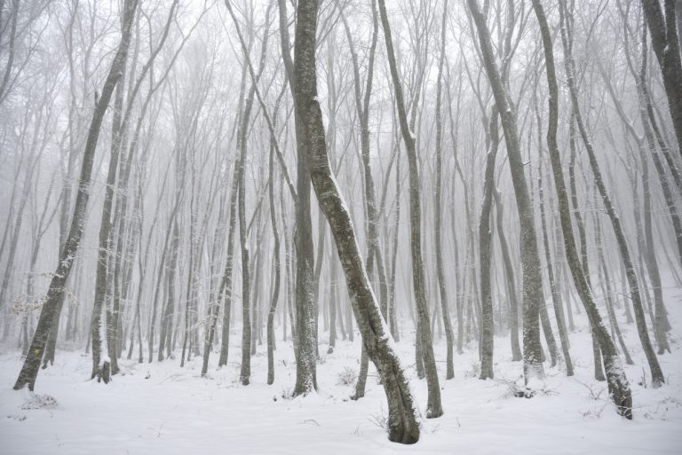 Καιρός: Προ των πυλών χειμώνας διαρκείας – Τι αναφέρουν οι πρόσφατες προβλέψεις