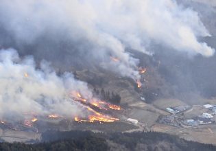 Ισχυρές δασικές πυρκαγιές πλήττουν τη βόρεια Ιαπωνία