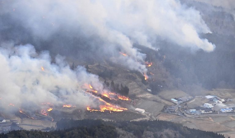 Ισχυρές δασικές πυρκαγιές πλήττουν τη βόρεια Ιαπωνία