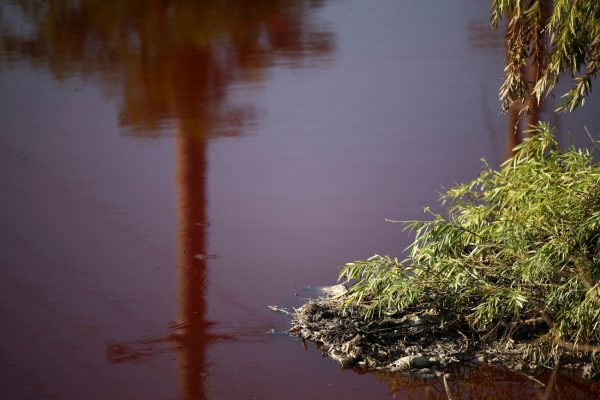 Αργεντινή: Κανάλι «βάφτηκε» κόκκινο και κανείς δεν ξέρει γιατί – Ανησυχούν οι κάτοικοι