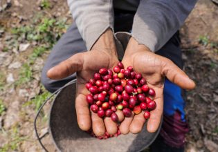 Πτώση τιμών σε κακάο και καφέ: Η μείωση της ζήτησης ανατρέπει την αγορά