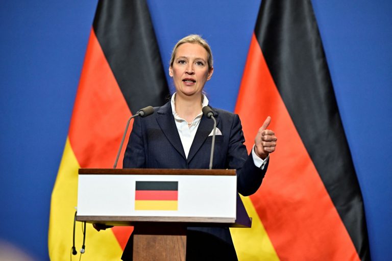 Γερμανία: Ρωσικά bots σπέρνουν φόβο για τρομοκρατικό χτύπημα πριν από τις εκλογές υπέρ AfD