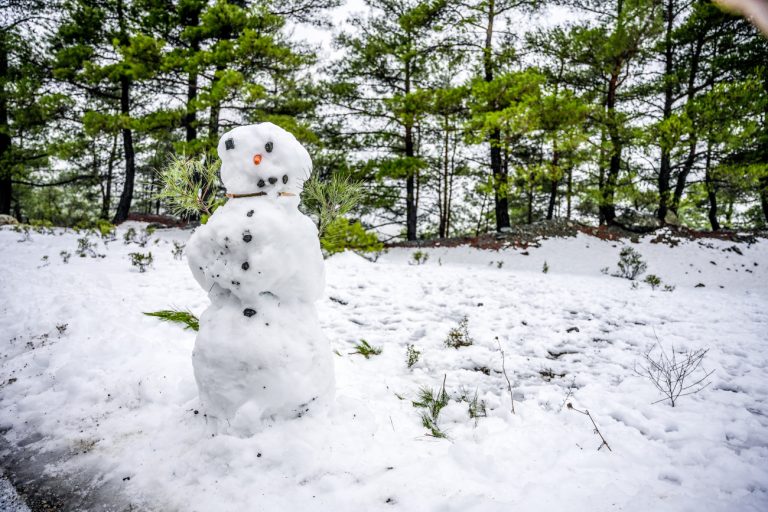 Κακοκαιρία Coral: Θα δούμε χιόνια και «σε κεντρικούς δρόμους της Αθήνας» – Πού θα το στρώσει [χάρτες]