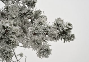 Καιρός: Οι περιοχές με τις χαμηλότερες θερμοκρασίες – Η Θράκη κατέχει τα… πρωτεία