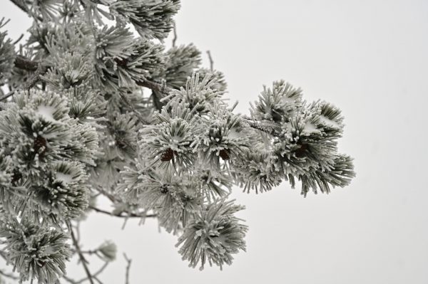 Καιρός: Οι περιοχές με τις χαμηλότερες θερμοκρασίες – Η Θράκη κατέχει τα… πρωτεία