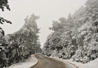 Το Σάββατο η πιο κρύα ημέρα της κακοκαιρίας Coral – Η εξέλιξη του κύματος ψύχους
