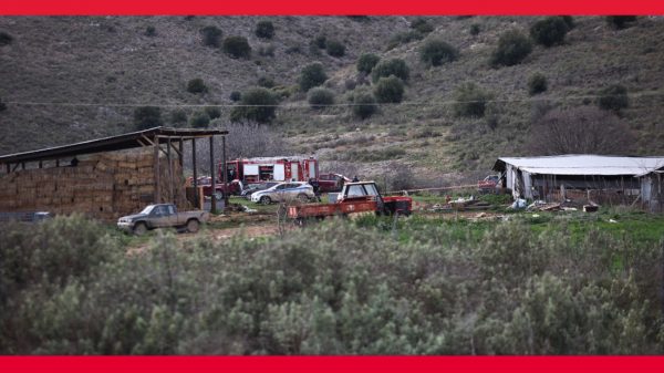 Οι ειδήσεις που πρέπει να ξέρεις από το in [Βίντεο]