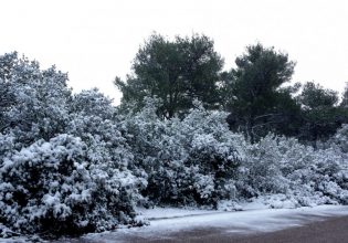 Καιρός: Κλειστή η λεωφόρος Πάρνηθας από το ύψος του τελεφερίκ λόγω χιονιού