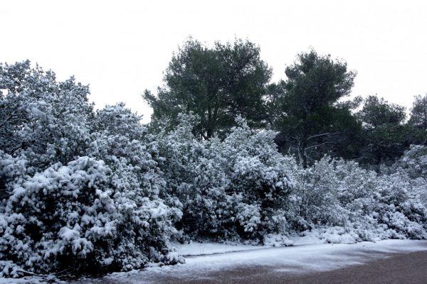 Καιρός: Συνεχίζονται οι χαμηλές θερμοκρασίες σε όλη την χώρα – Χιόνια στην Πάρνηθα