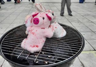 Τσικνοπέμπτη: Συνέλαβαν βίγκαν ακτιβιστές στο Σύνταγμα που έκαναν παρέμβαση υπέρ των ζώων