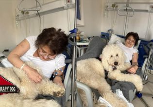 Ο Βαγγέλης είναι σκύλος θεραπείας και πλέον «εργάζεται» στο Γενικό Κρατικό Νοσοκομείο Νίκαιας