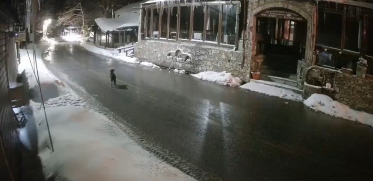 Κακοκαιρία Coral: Ντύθηκε στα «λευκά» το Πήλιο – Εικόνες από την χιονισμένη Μαγνησία