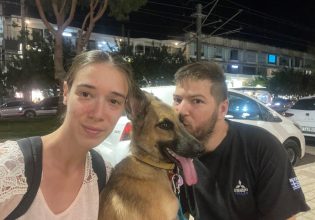 Φρέγια: Το πρώην δυστυχισμένο, ταλαιπωρημένο αδεσποτάκι… πλέει σε πελάγη ευτυχίας