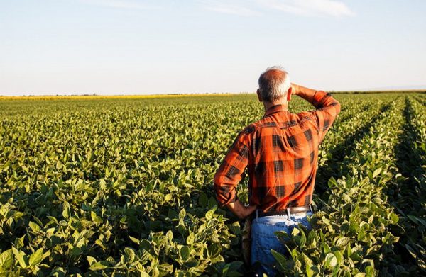 Ασφαλιστικές εισφορές: Ρυθμίσεις για τις οφειλές συνταξιούχων αγροτών