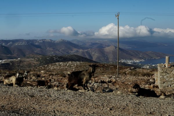 Αμοργός: Σε κατάσταση έκτακτης ανάγκης κηρύχθηκε ο Δήμος